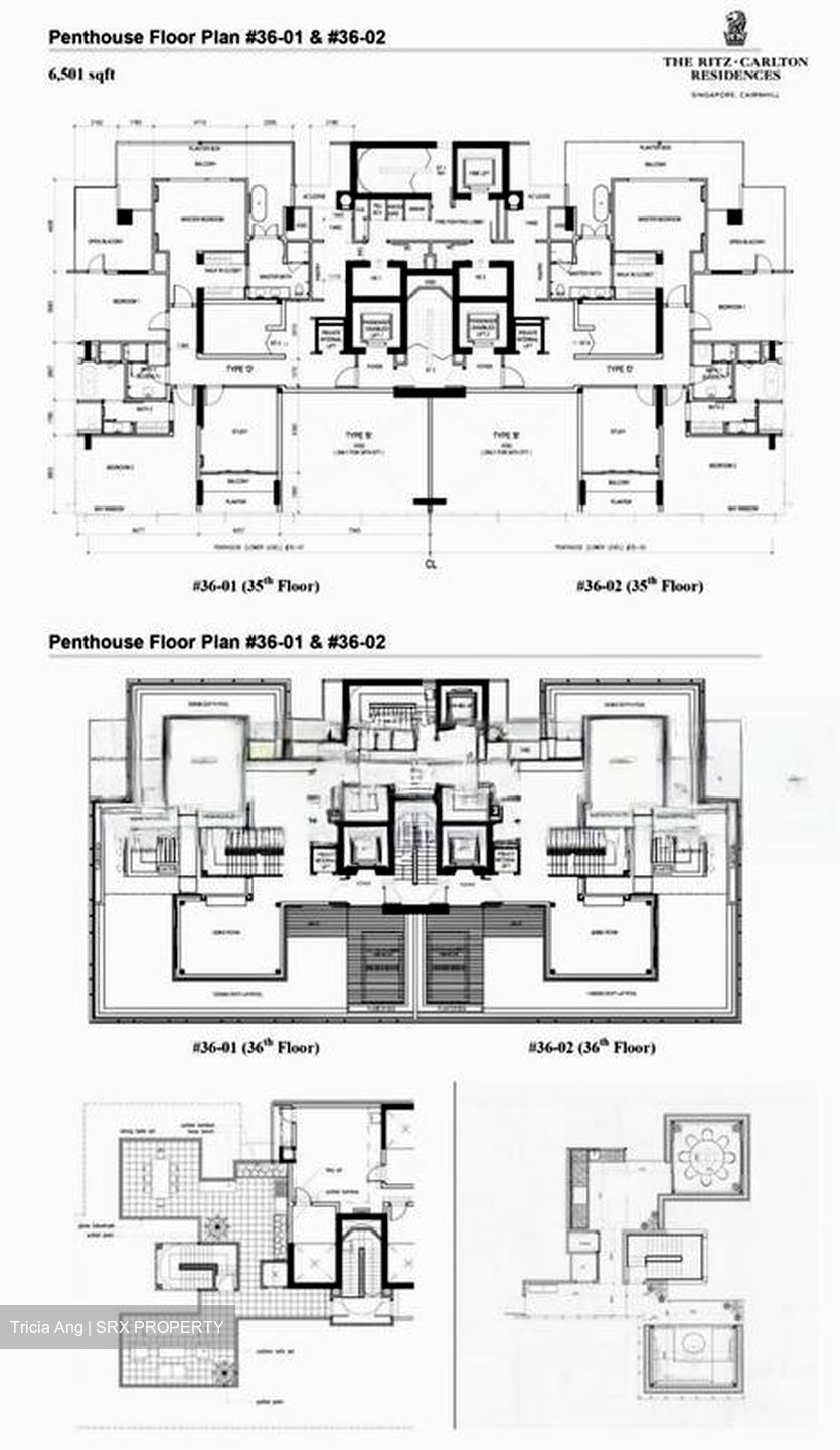 The Ritz-Carlton  (D9), Condominium #459403671